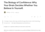 do article writing and content writing